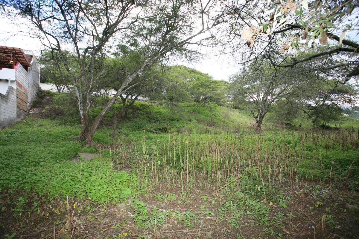 Vive en La Viña Alta – Terreno de 1.000 m² en Urbanización Privada — imagen 3