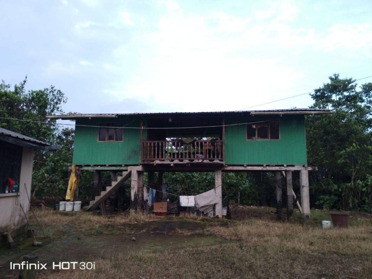 Finca Productiva de 5 Hectáreas con Cacao en Pedro Vicente Maldonado Precio: $95.000 Negociables — imagen 3