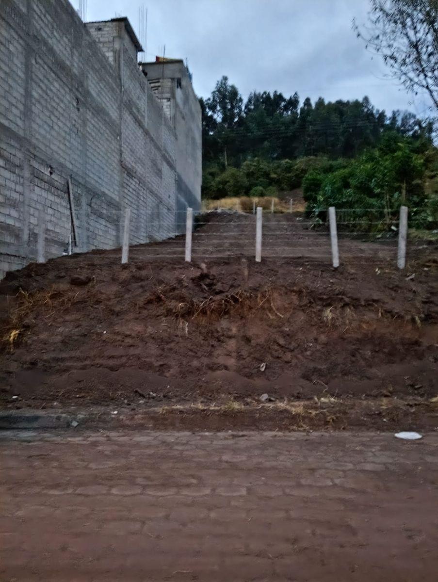 Terreno en Venta Sector Tréboles del Sur, 293 m² — imagen 6