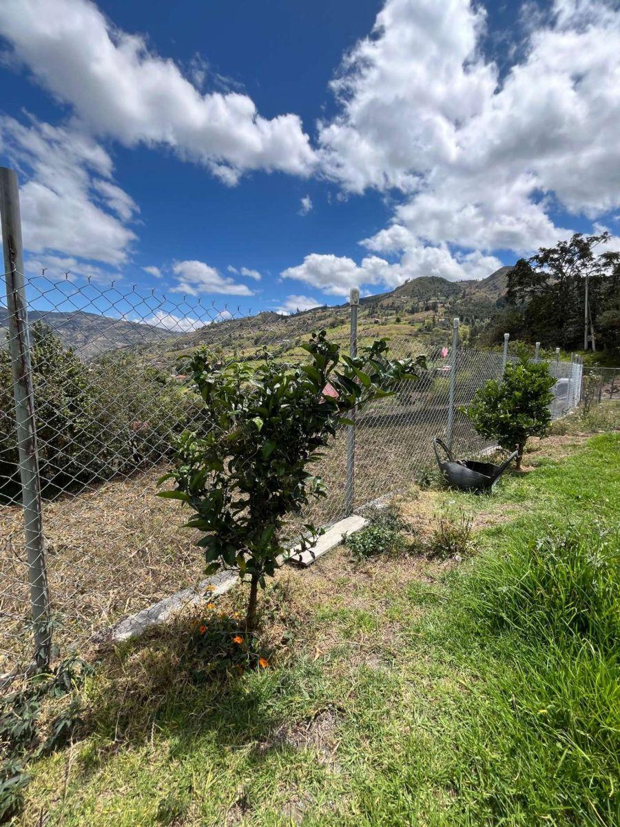 Terreno en Venta con Casa y Construccion Posterior, Azuay — imagen 5