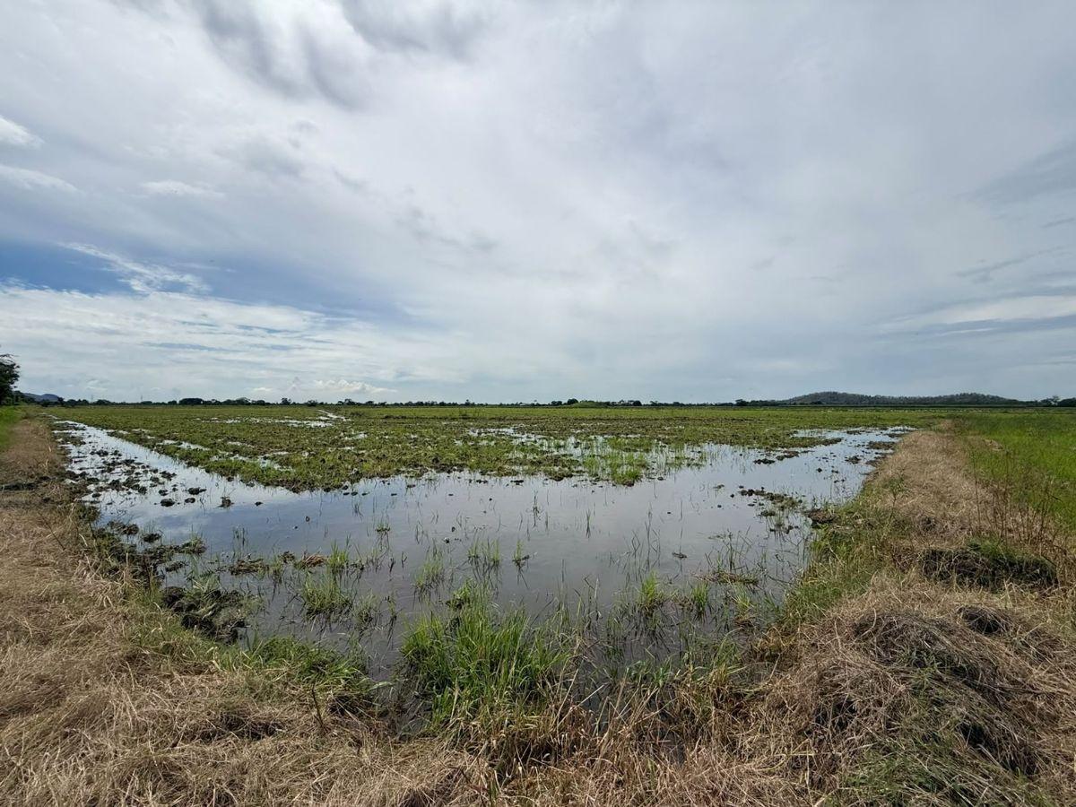 Terreno Agricola en Venta 3,46 Has en Taura - N, Guayas — imagen 10