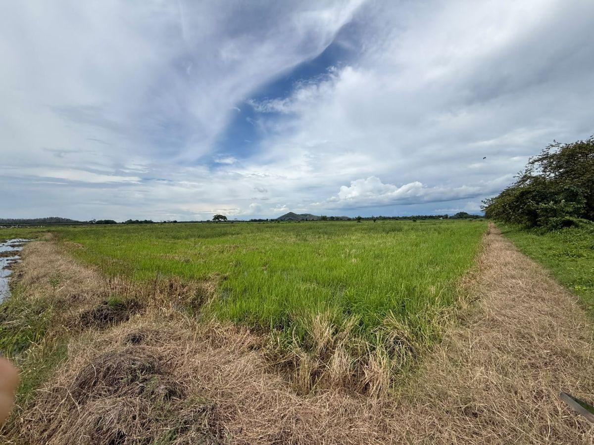 Terreno Agricola en Venta 3,46 Has en Taura - N, Guayas — imagen 7