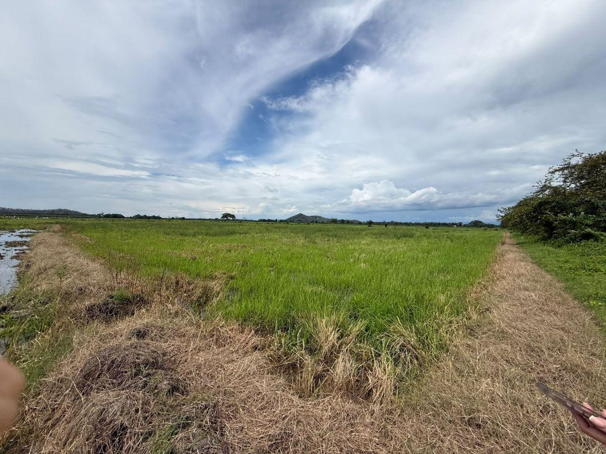 Terreno Agricola en Venta 3,46 Has en Taura - N, Guayas — imagen 6