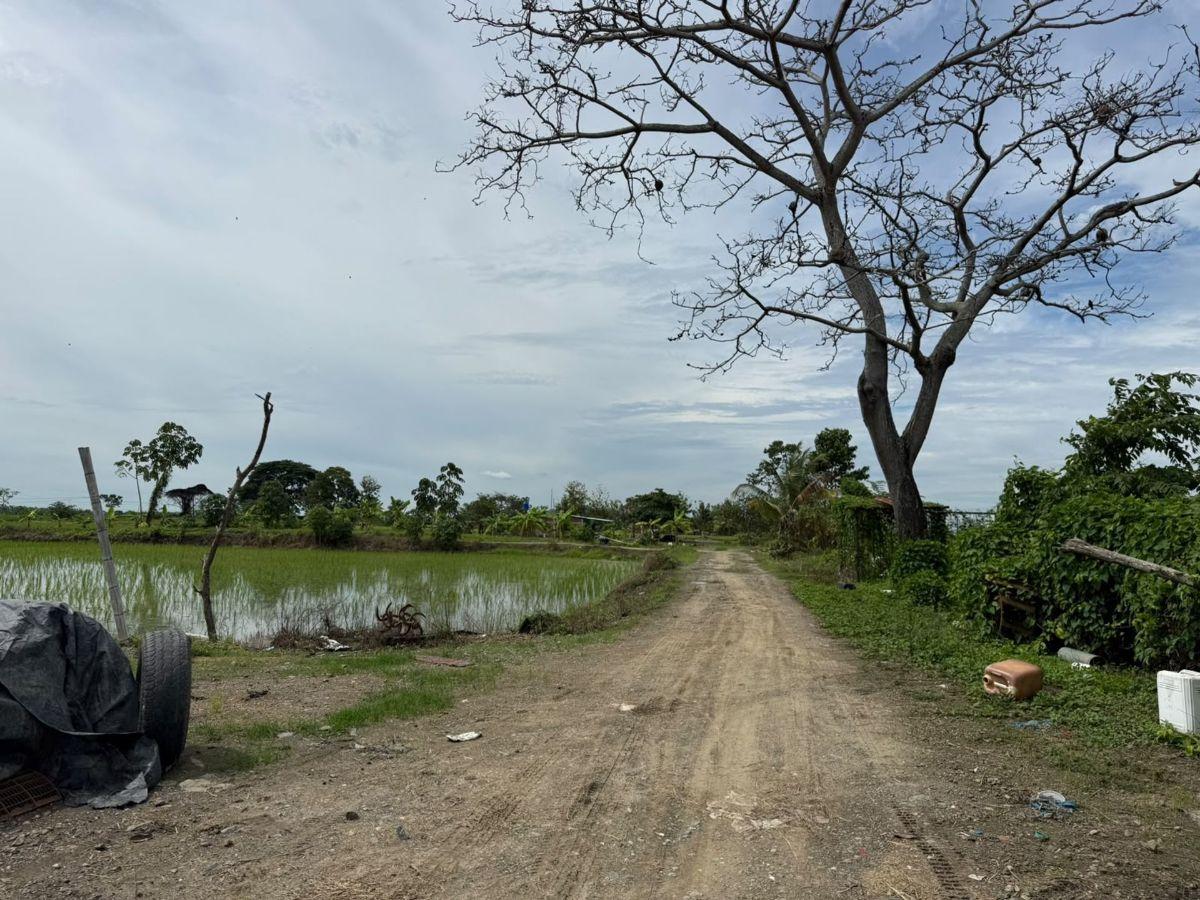 Terreno Agricola en Venta 3,46 Has en Taura - N, Guayas — imagen 4