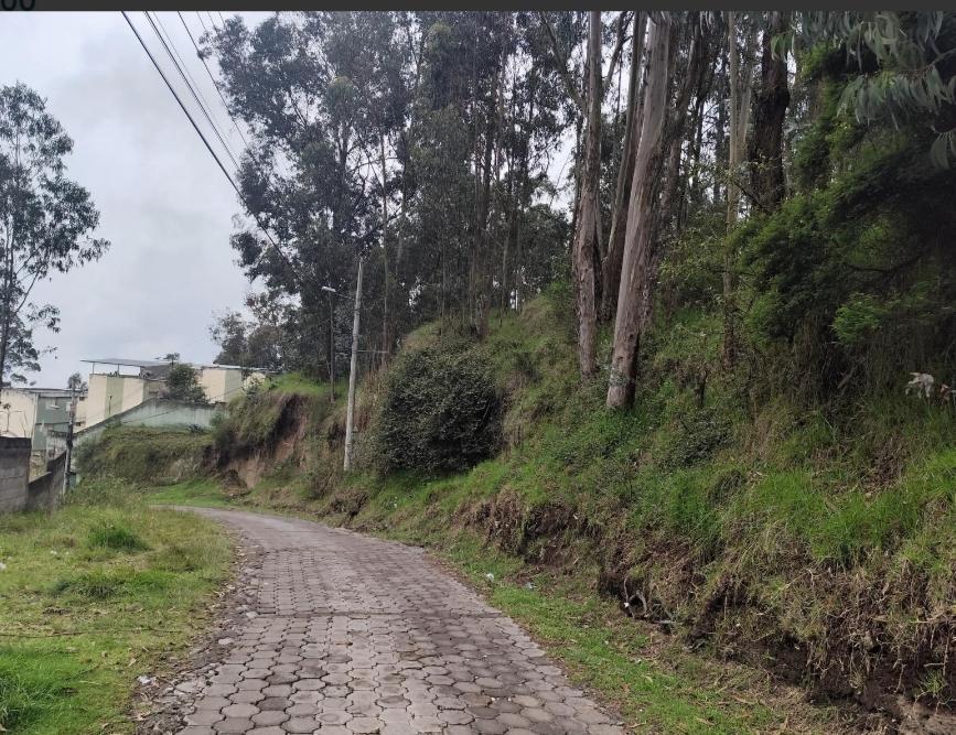 Terreno en Venta, Sector Puengasi Antigua Vía a Conocoto — imagen 8