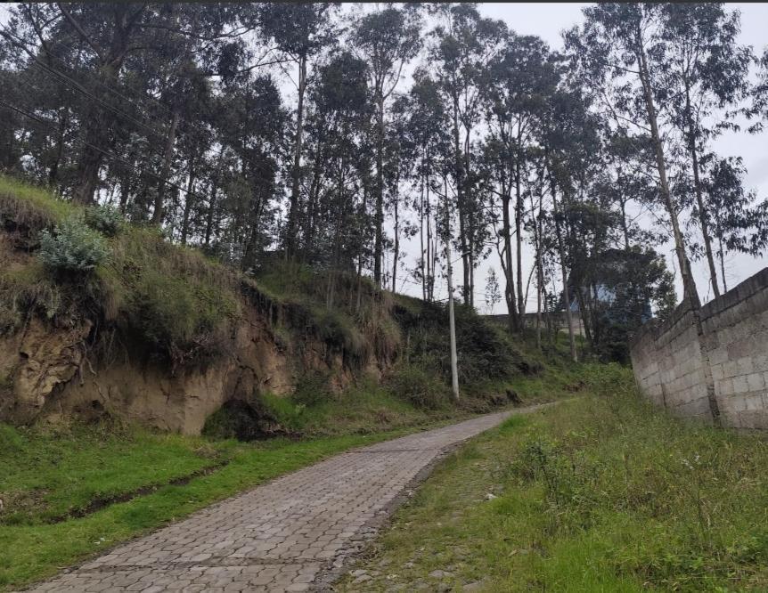 Terreno en Venta, Sector Puengasi Antigua Vía a Conocoto — imagen 6