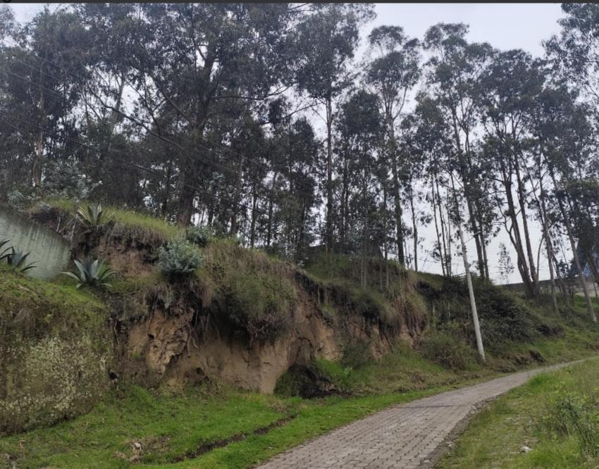 Terreno en Venta, Sector Puengasi Antigua Vía a Conocoto — imagen 5