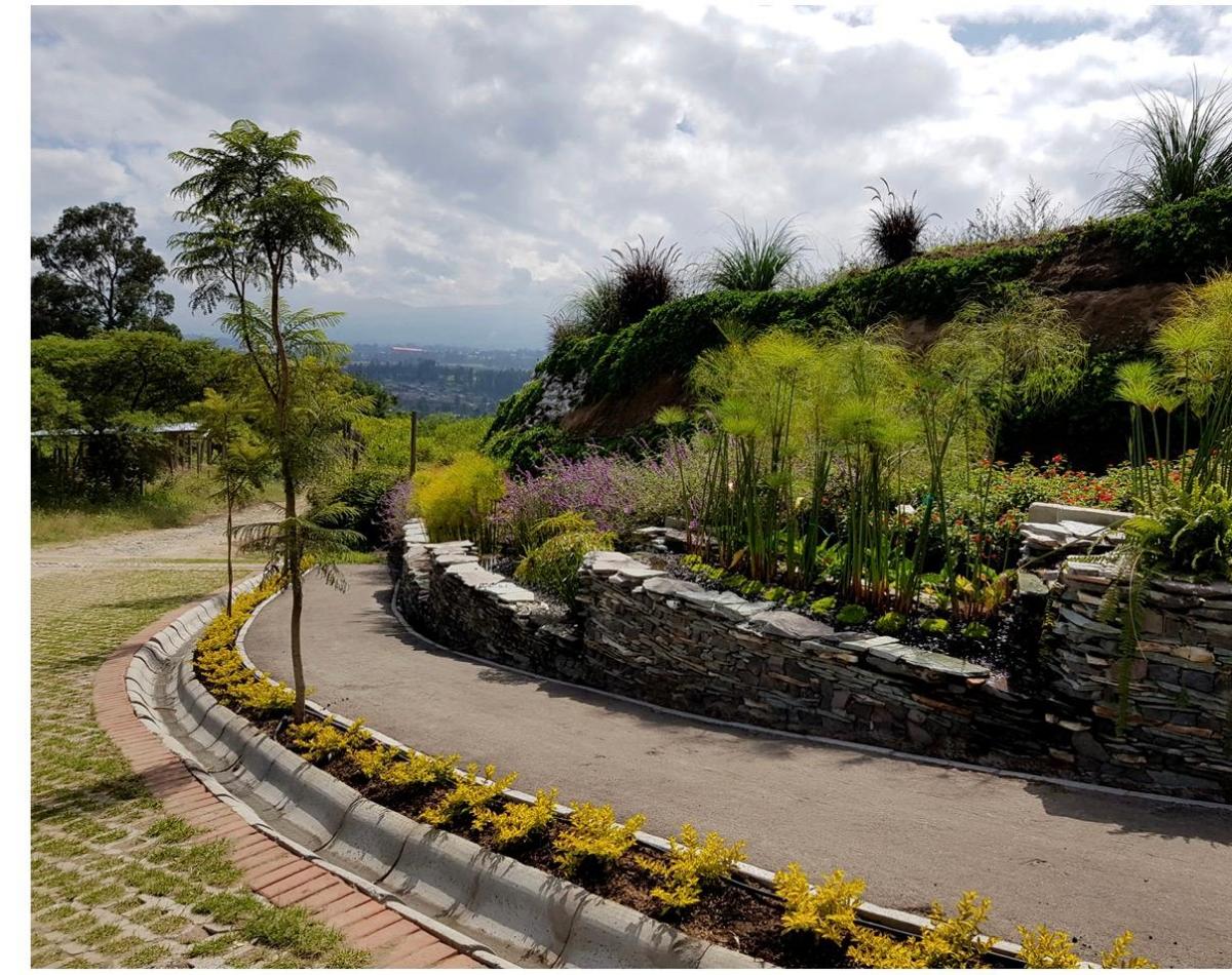 Terreno en Urbanización de Lujo Terraviva — imagen 7