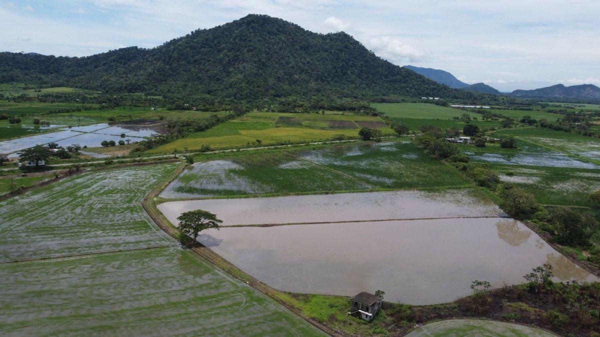 Terreno Agrícola en Venta en Naranjal, Guayas — imagen 10