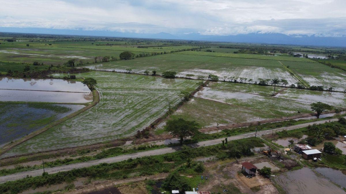 Terreno Agrícola en Venta en Naranjal, Guayas — imagen 9