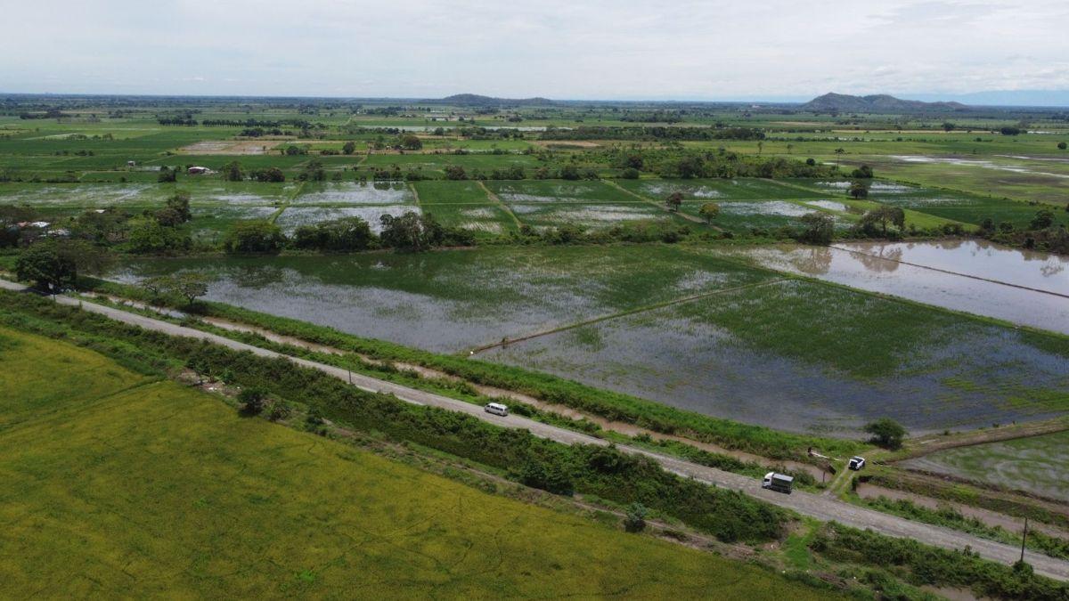 Terreno Agrícola en Venta en Naranjal, Guayas — imagen 8