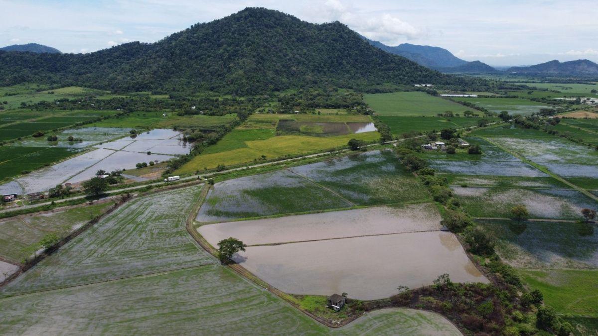 Terreno Agrícola en Venta en Naranjal, Guayas — imagen 7