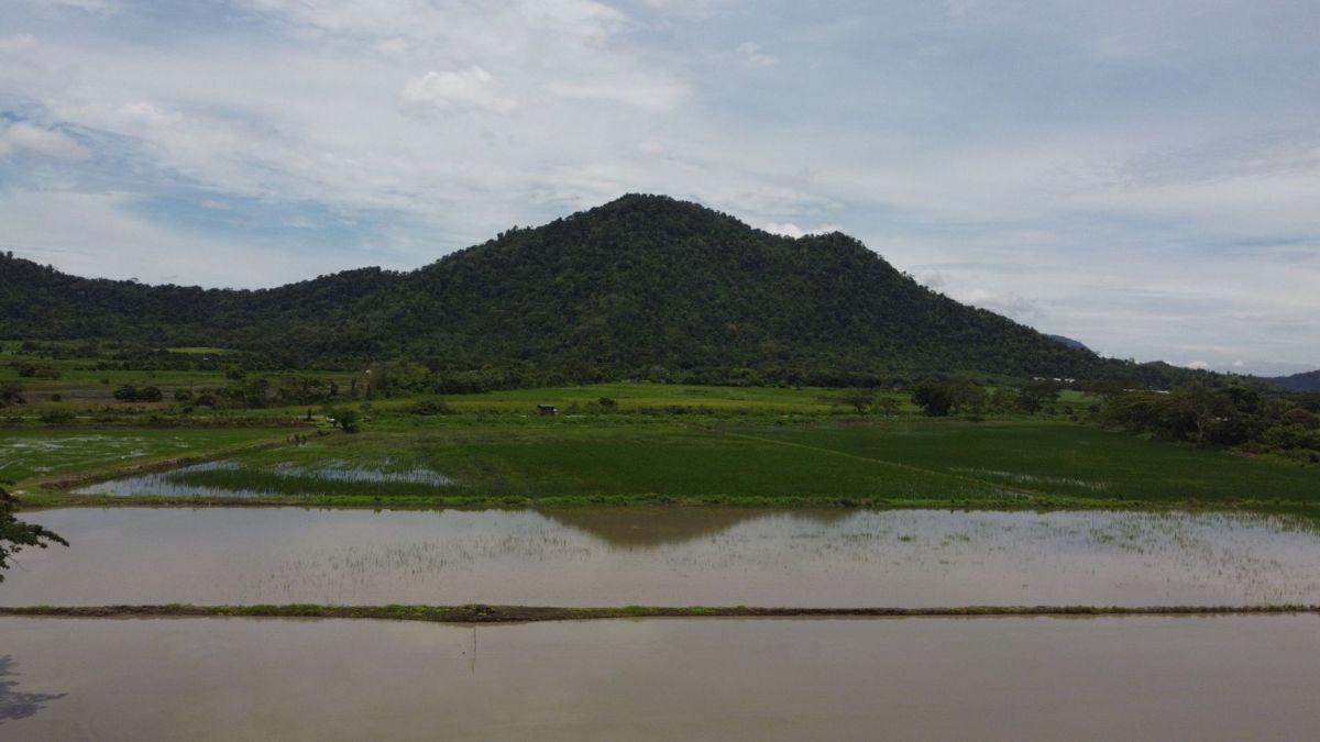 Terreno Agrícola en Venta en Naranjal, Guayas — imagen 6