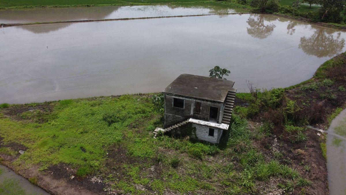 Terreno Agrícola en Venta en Naranjal, Guayas — imagen 5