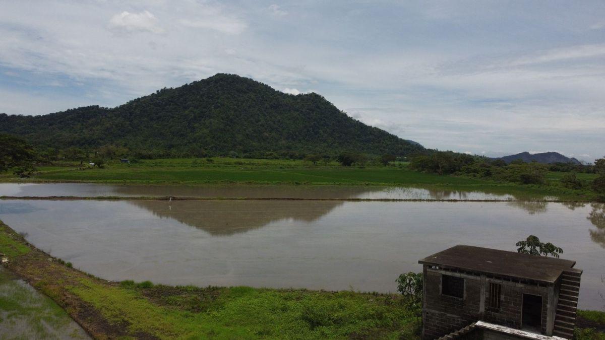 Terreno Agrícola en Venta en Naranjal, Guayas — imagen 3