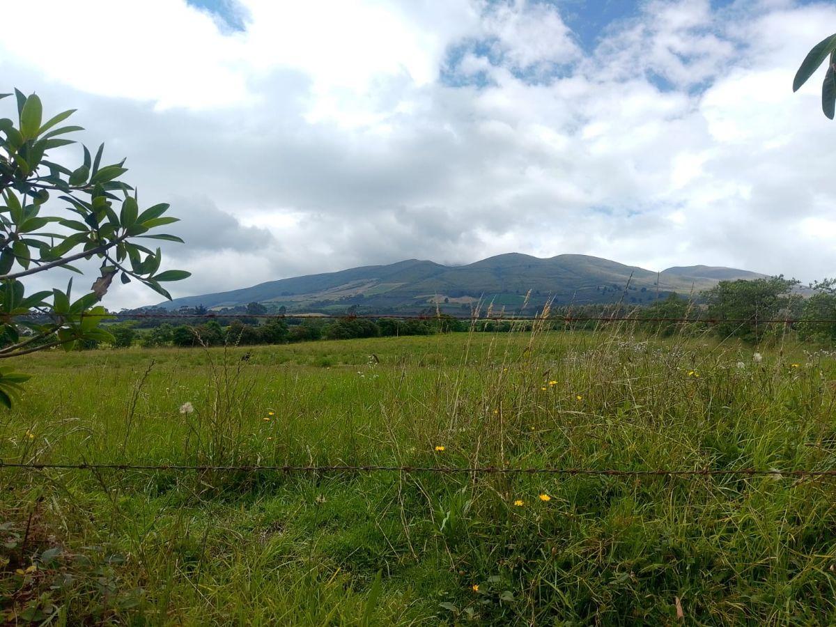 Vendo Terreno Sector Machichi — imagen 5
