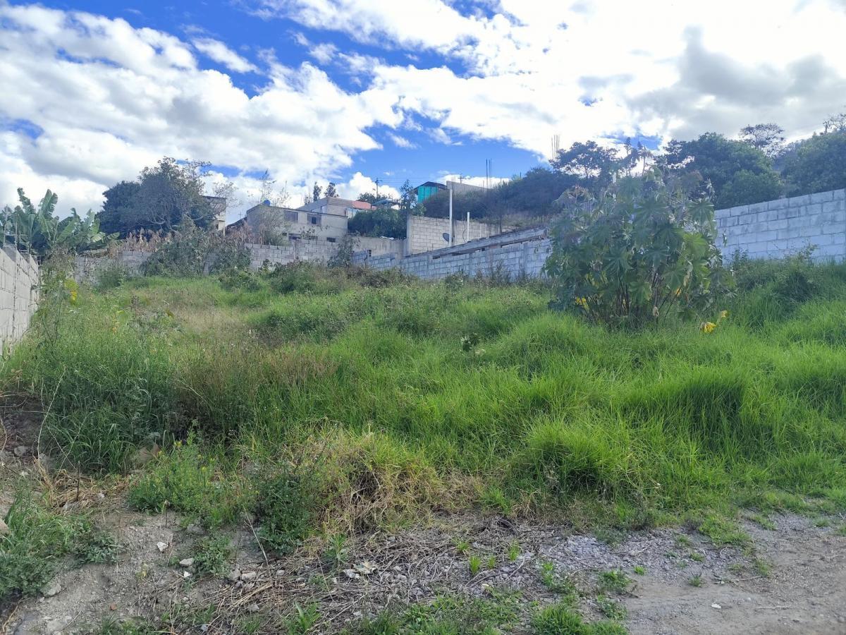 Terreno de Venta, Cumbaya, Sector Francisco de Pinsha, Disponibles 320 y 393 m² Precio Negociable — imagen 9
