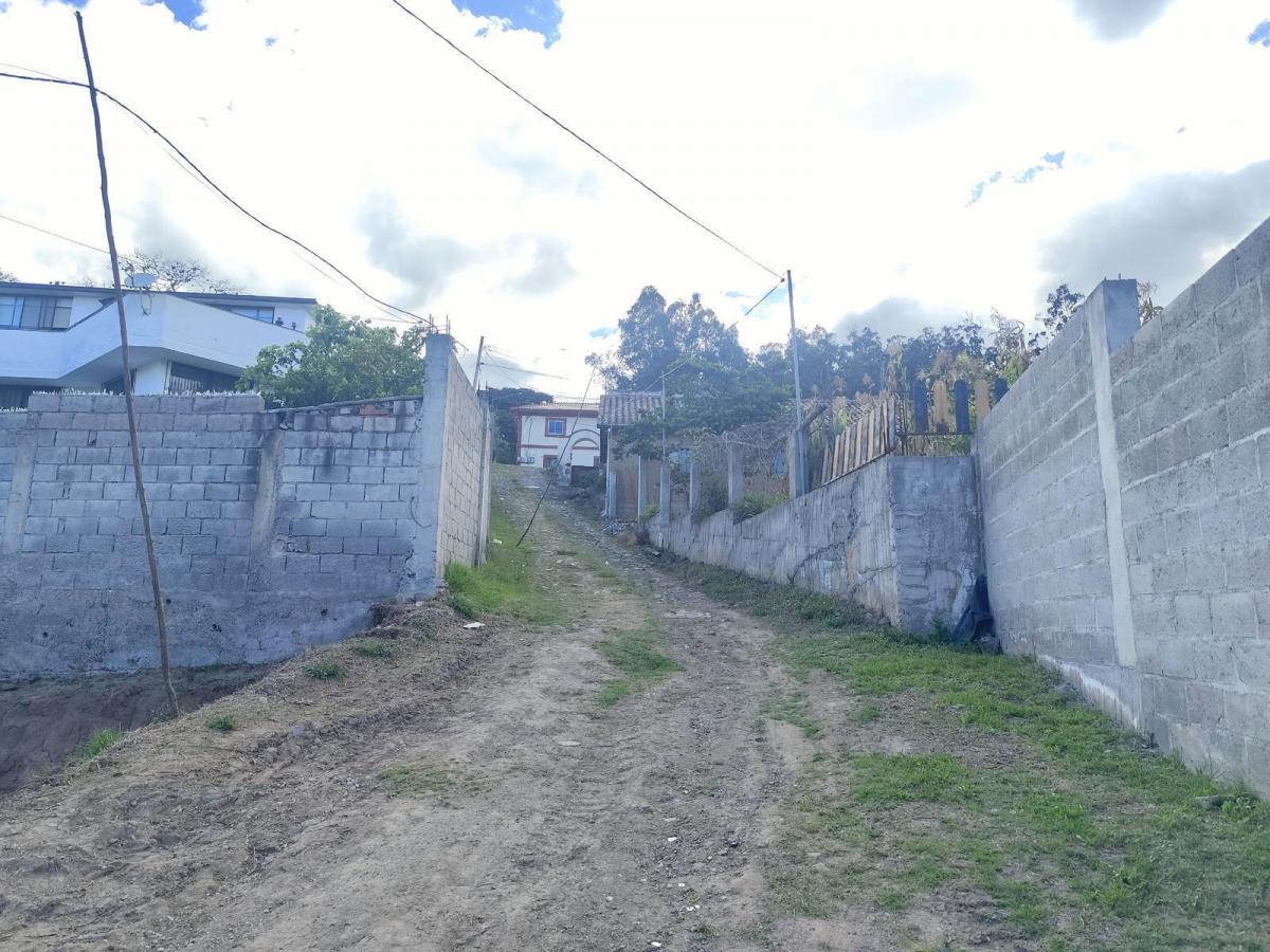 Terreno de Venta, Cumbaya, Sector Francisco de Pinsha, Disponibles 320 y 393 m² Precio Negociable — imagen 8