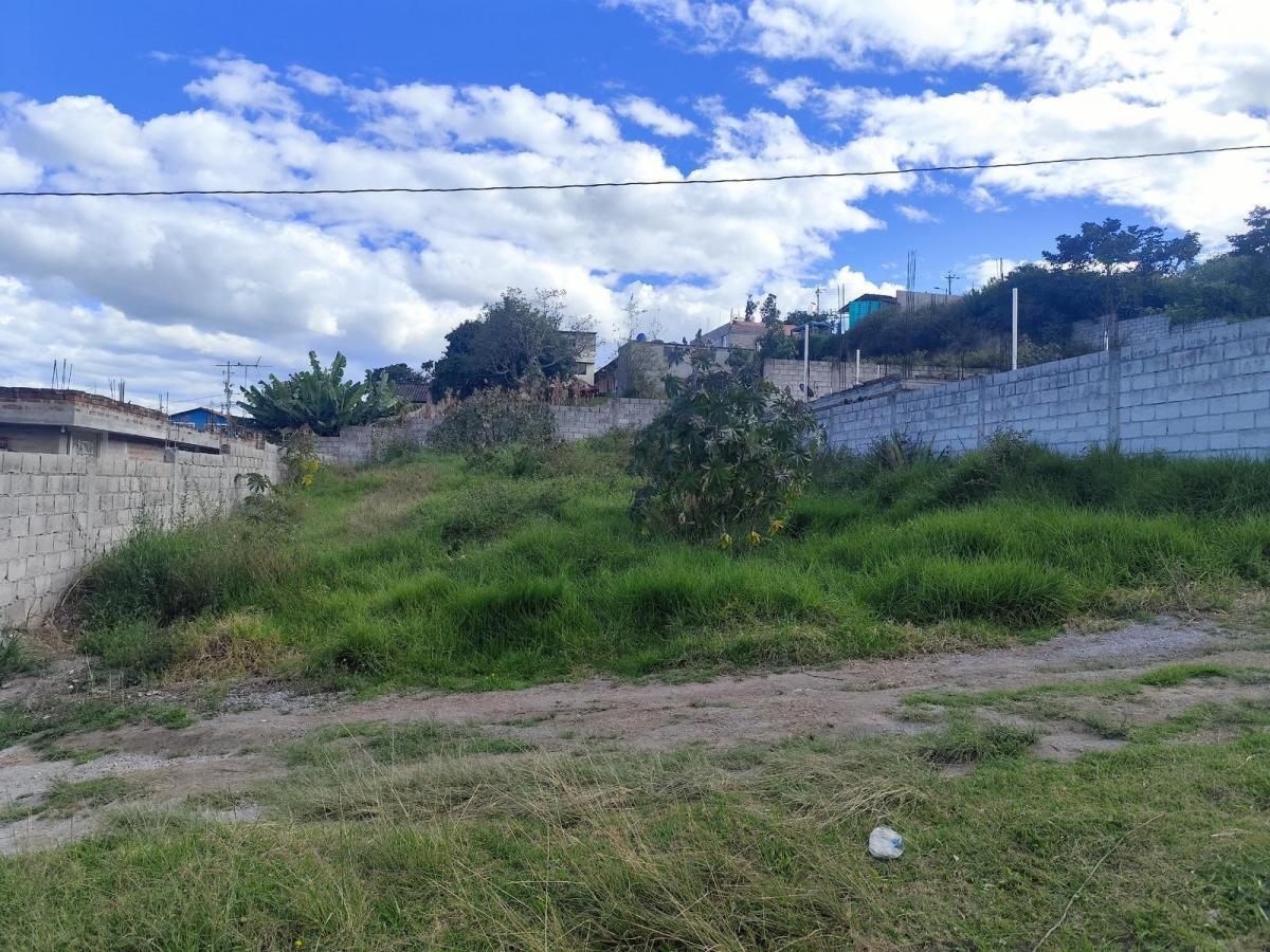 Terreno de Venta, Cumbaya, Sector Francisco de Pinsha, Disponibles 320 y 393 m² Precio Negociable — imagen 6