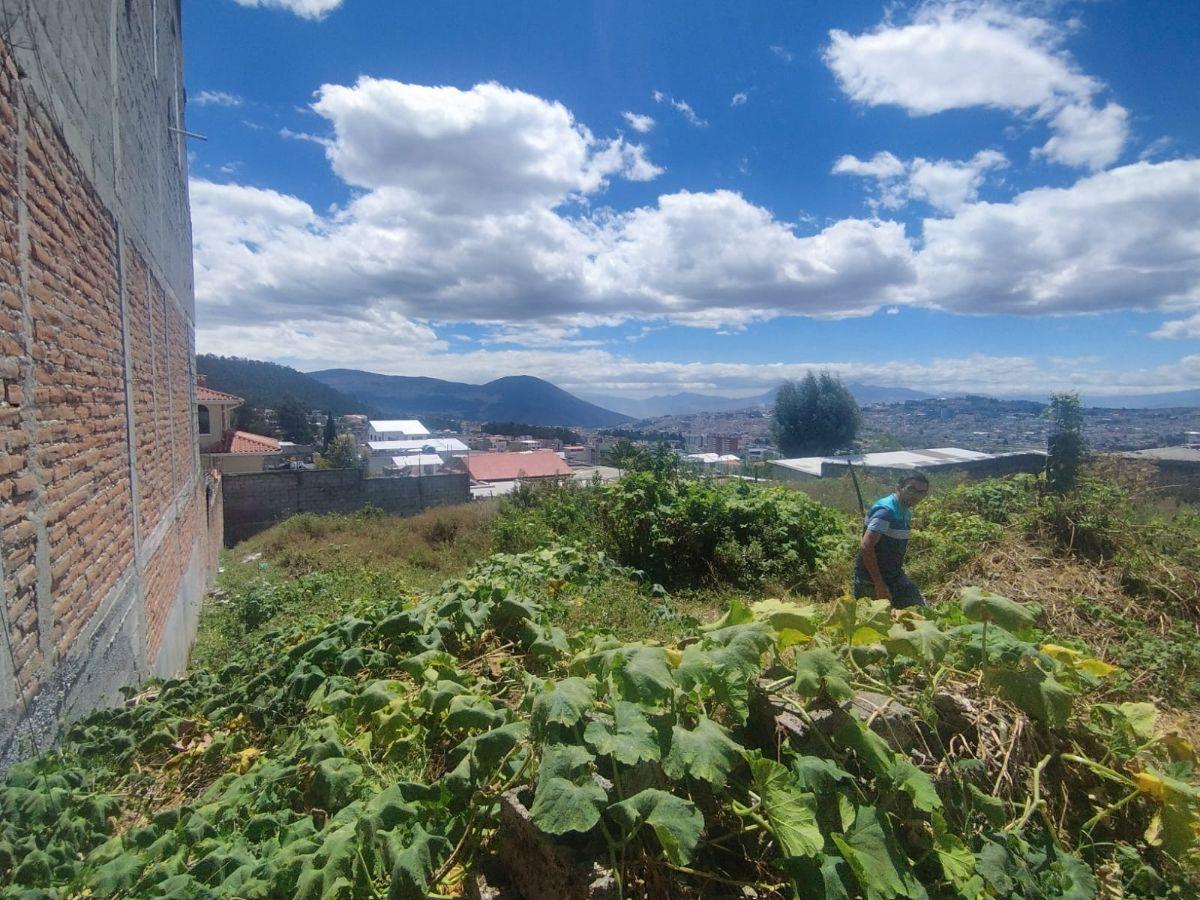 La Florida Vendo Lindo Terreno de 434 m² Regularizado — imagen 7