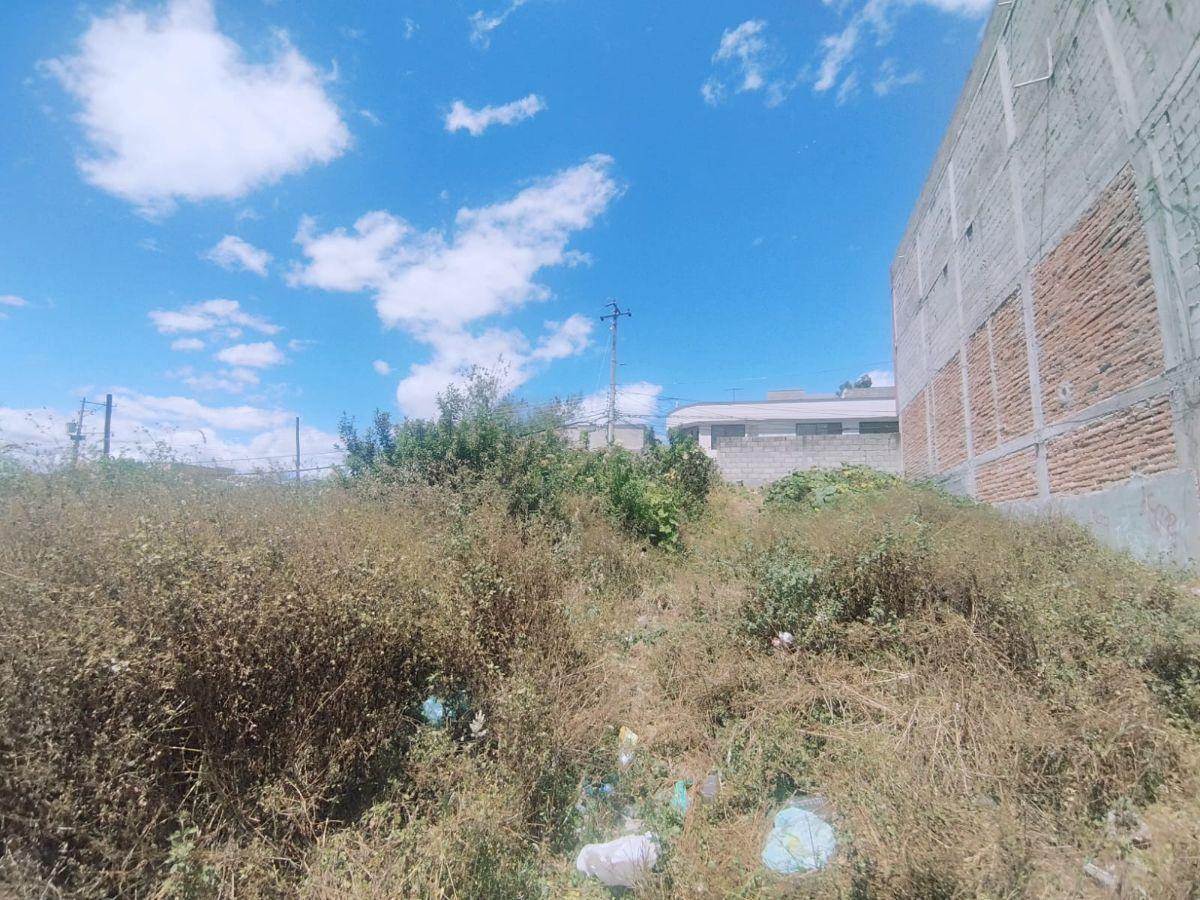 La Florida Vendo Lindo Terreno de 434 m² Regularizado — imagen 6