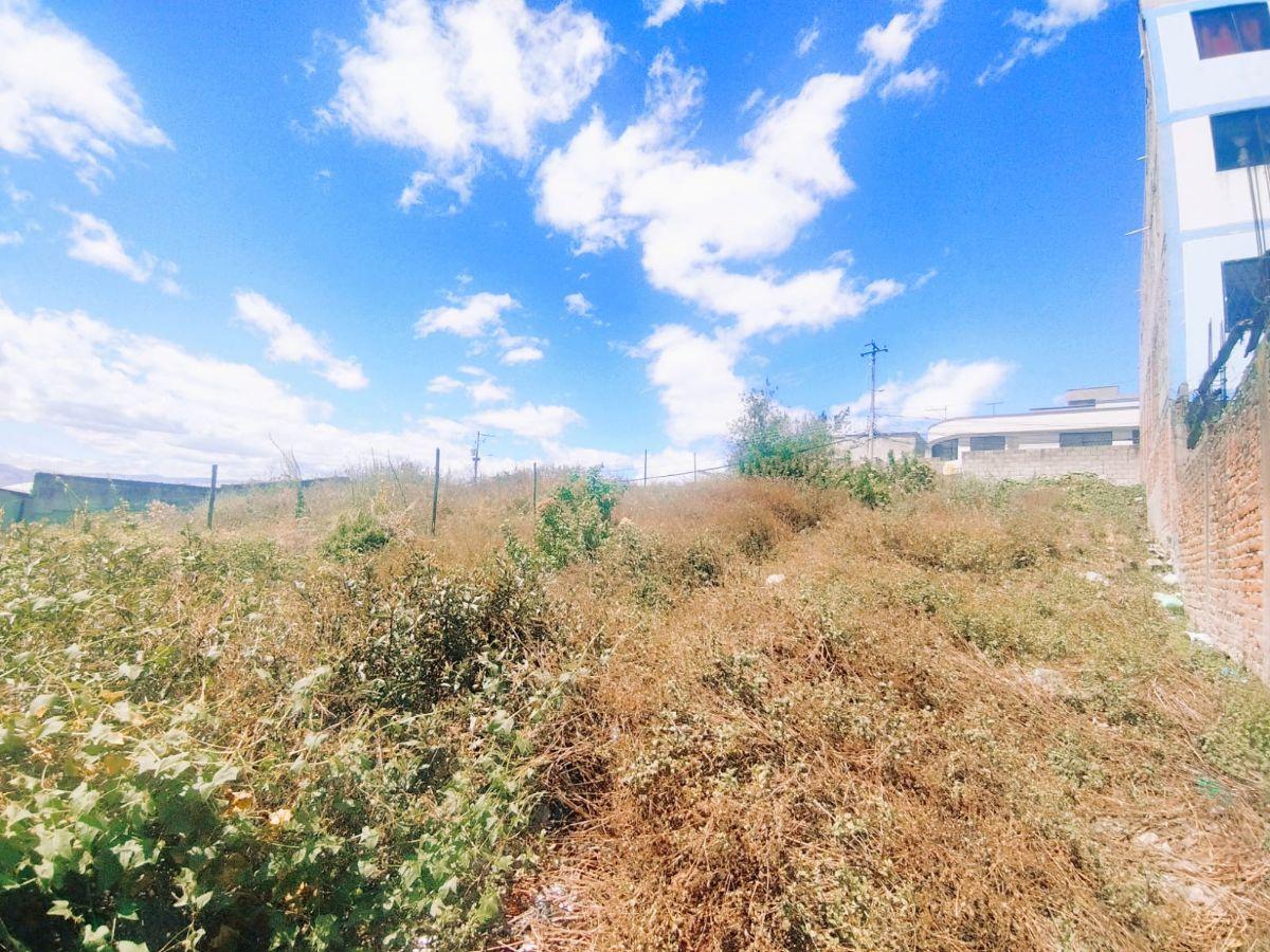 La Florida Vendo Lindo Terreno de 434 m² Regularizado — imagen 5