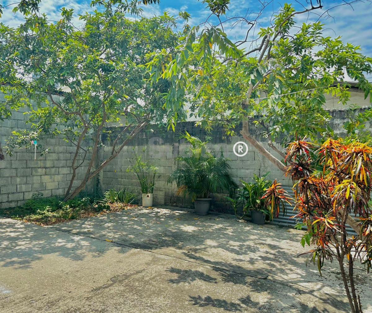 Vendo Casa Una Planta Urdesa Norte Calle Alto Tráfico 272 m² Terr Uso Suelo Mixto, Guayas — imagen 10