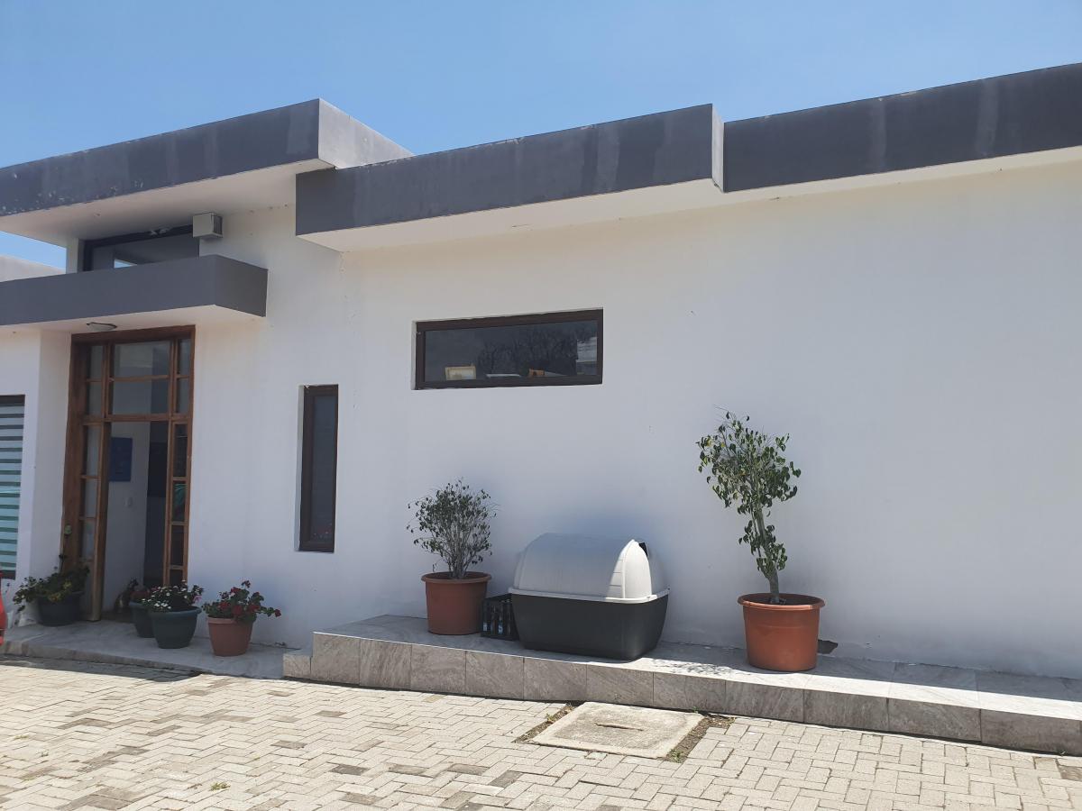 Casa en Una Sola Planta en Venta Tumbaco 245 m² Construcción y 300 m² Jardín — imagen 9
