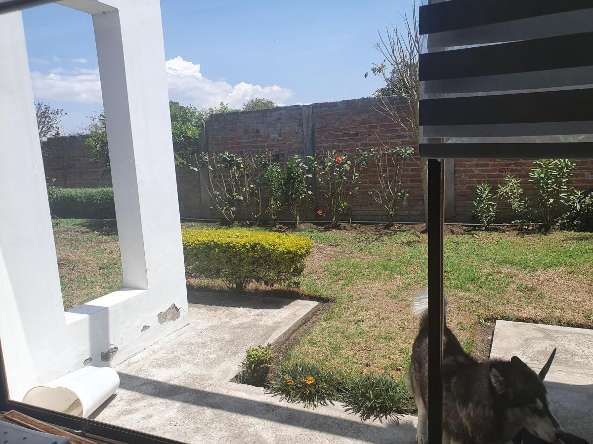 Casa en Una Sola Planta en Venta Tumbaco 245 m² Construcción y 300 m² Jardín — imagen 6