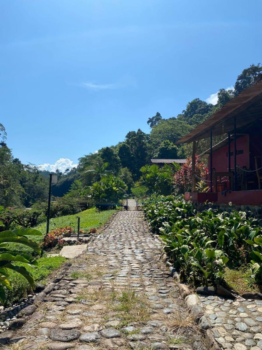 Se Vende Terreno Reserva Natural Archidona, Napo — imagen 8
