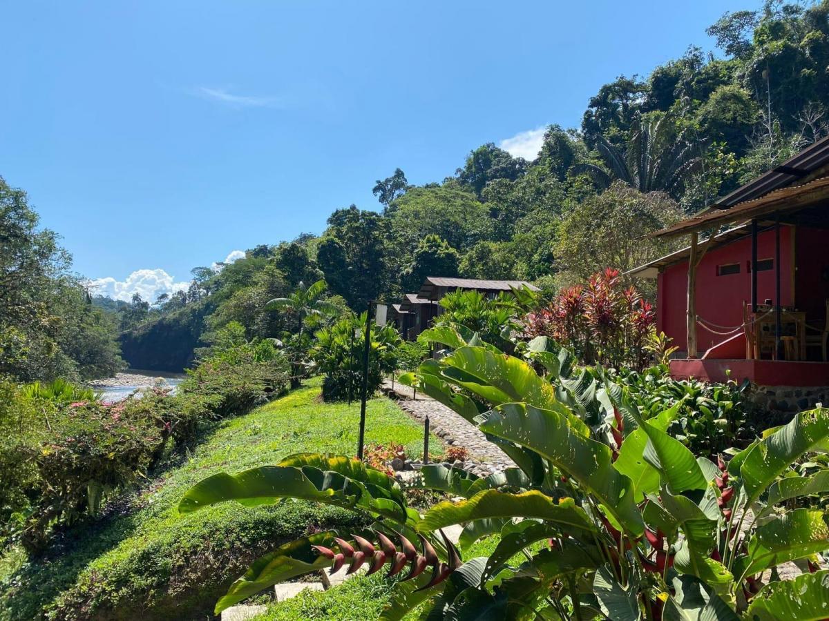 Se Vende Terreno Reserva Natural Archidona, Napo — imagen 7