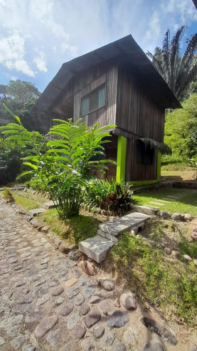 Se Vende Terreno Reserva Natural Archidona, Napo — imagen 5