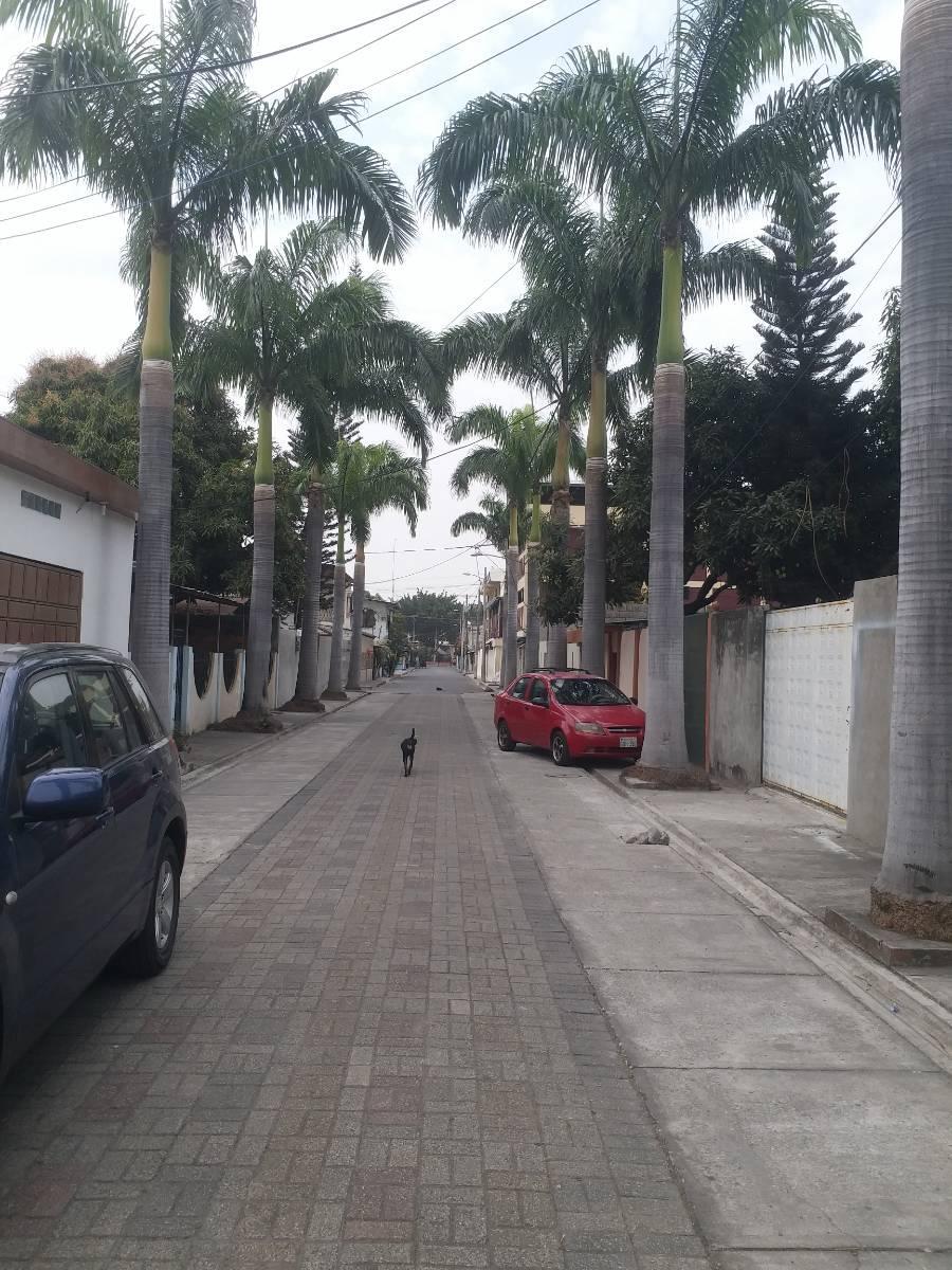 Casa Rentera, en Venta, Stella Maris, 2 Plantas, Guasmo Sur, Av Domingo Comin. Guayas — imagen 8