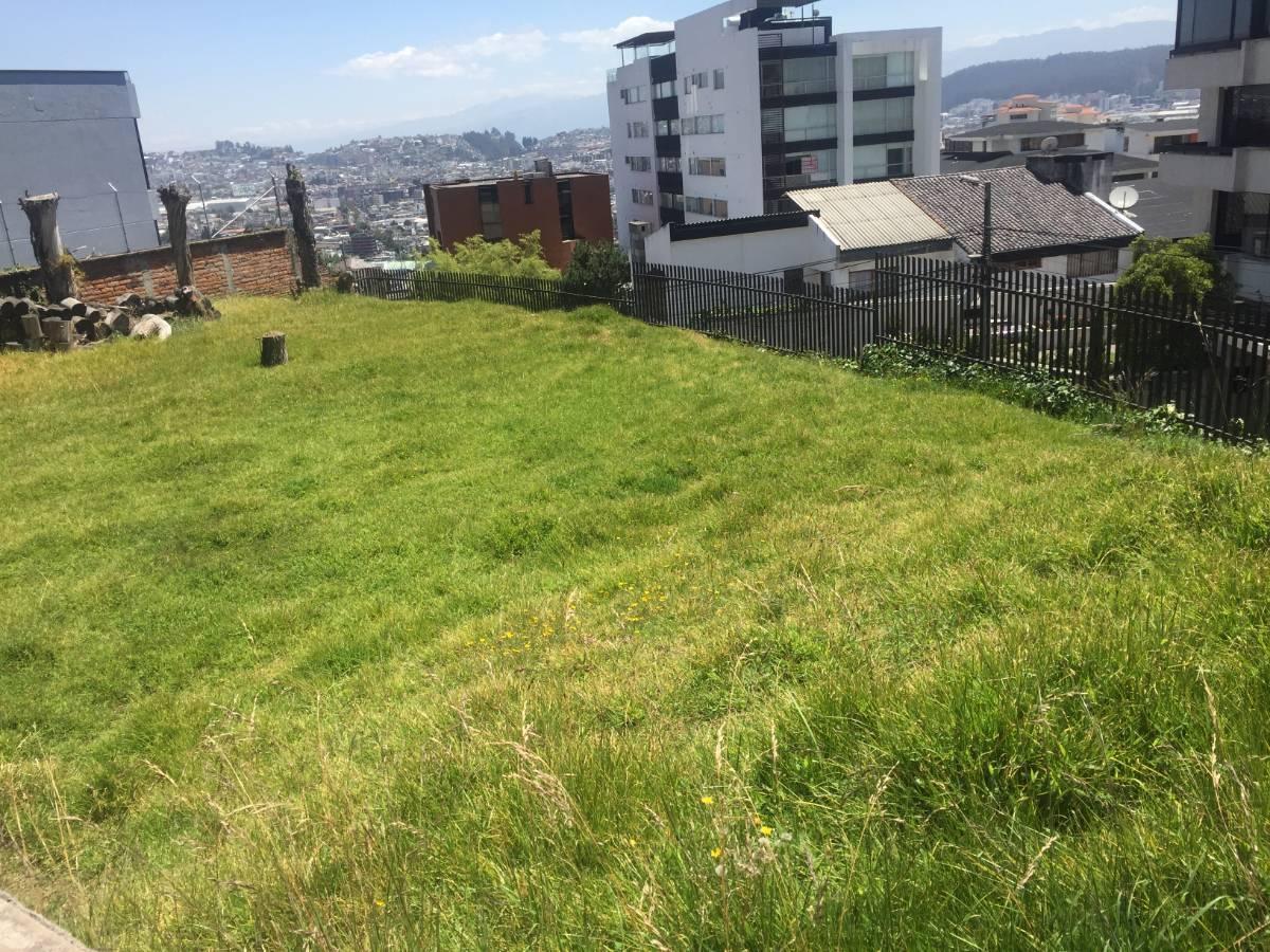Mm Venta Casa 4000 m² Terreno, Quito Tenis, $4.000.000 — imagen 6