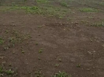 Se Arrienda Terreno Sector Parque Bicentenario - Antiguo Aeropuerto — imagen 4