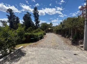 Vendo Terreno en Tumbaco Sector Intervalles — imagen 5