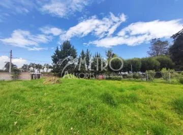 Terreno en Venta 1.200 m² en Puembo — imagen 4