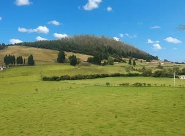 Terreno en Venta 12.027 m² Club Campestre La Esperanza — imagen 3