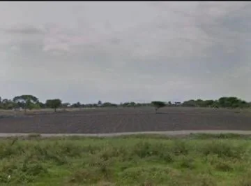 Venta 80.500 m² Sector Barranca - Samborondón, Cerca de C. Celeste. y de La Comunidad de Barranca, Guayas — imagen 4