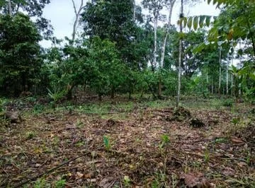 Terreno en Venta - Sector Vía a La Parroquia Pano - Tena, Napo — imagen 5