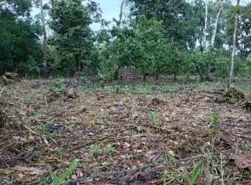 Terreno en Venta - Sector Vía a La Parroquia Pano - Tena, Napo — imagen 4