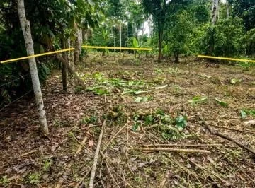 Terreno en Venta - Sector Vía a La Parroquia Pano - Tena, Napo — imagen 3