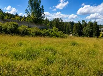 Terreno de 4.950 m² con 480 m² de Construcción en Macarena Alta, Conocoto. Vista Panorámica — imagen 3