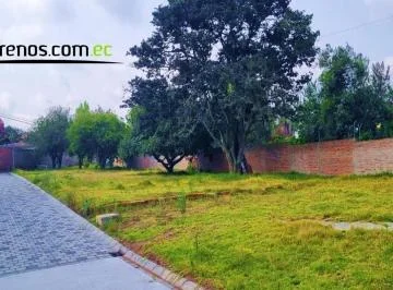 Terreno de Venta en Puembo 600 m² Urbanización O´cebreiro, Lote #1 — imagen 4