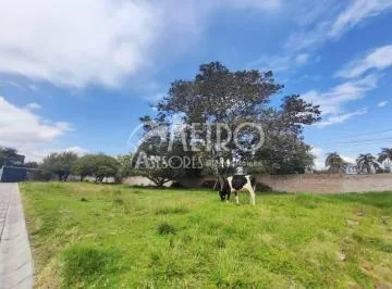 Terreno en Venta 600 m² en Puembo — imagen 4