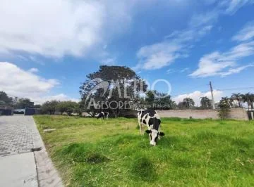 Terreno en Venta 600 m² en Puembo — imagen 3