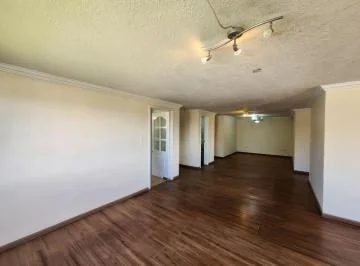 Venta Departamento Centro Norte Tres Dorm. 195 m Totales Dos Parqueaderos Bodega Cerc Bosque — imagen 4