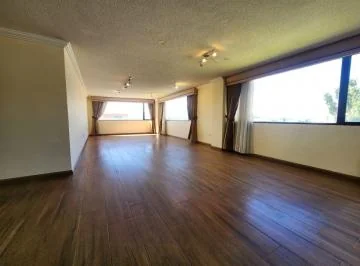 Venta Departamento Centro Norte Tres Dorm. 195 m Totales Dos Parqueaderos Bodega Cerc Bosque — imagen 3