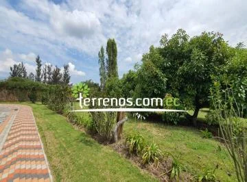 Terreno en Puembo 1.200 m² Urb. El Chaupi Sector Arrayanes — imagen 4