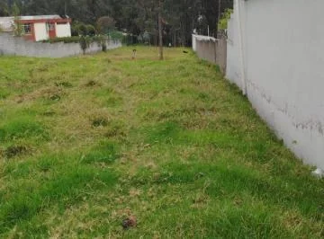 Venta Terreno Plano Sector Centro La Merced — imagen 4